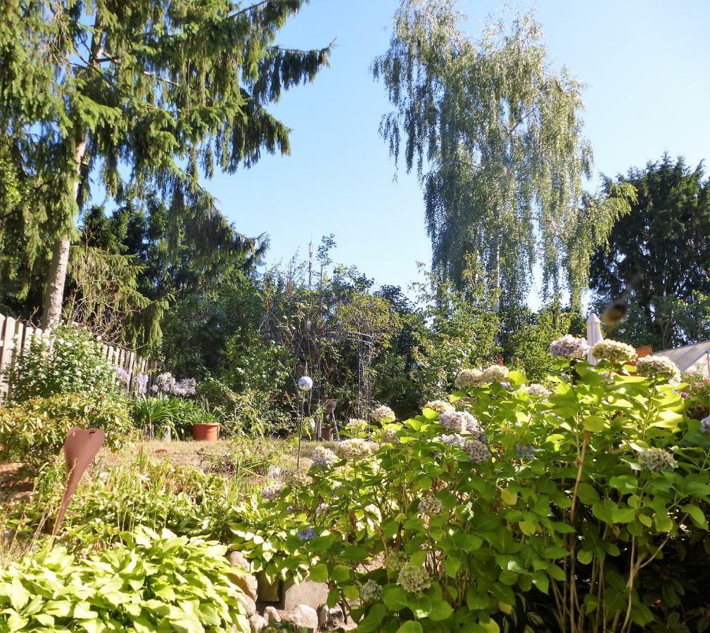 Schwalbennest Apartment Geesthacht Bagian luar foto